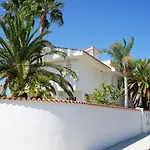 Eucaliptus *
