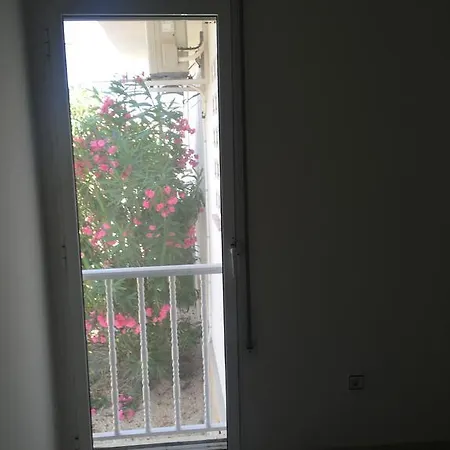 Eucaliptus Apartment