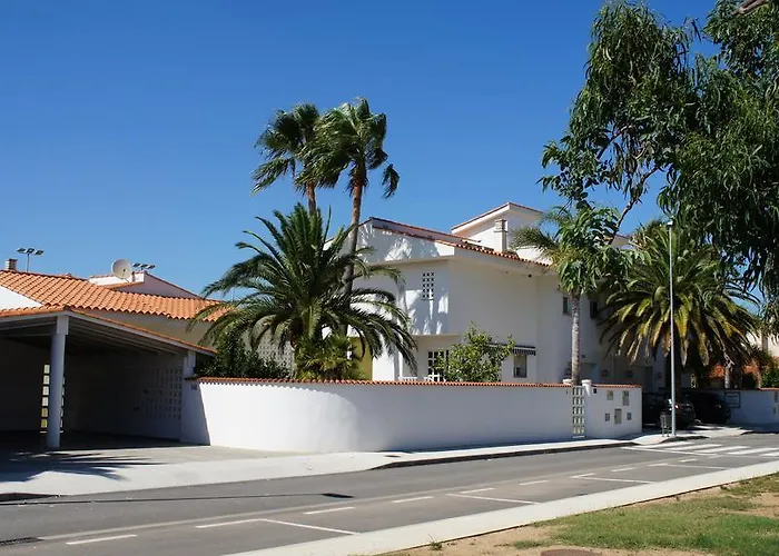 Eucaliptus L'Eucaliptus