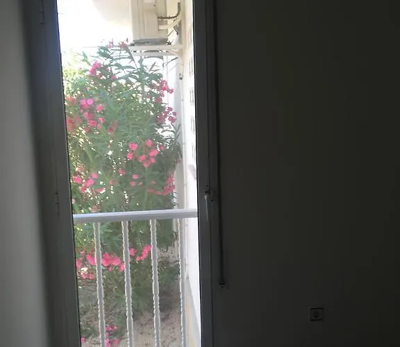 Los Eucaliptus Daire